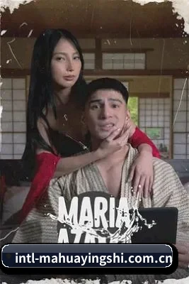 📺 关于本站
